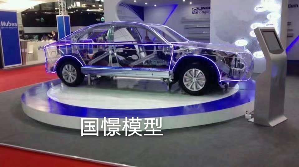 连城县透明车模型